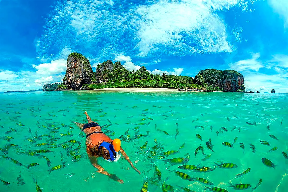 Snorkeler above a school of tropical fish beside a limestone island
