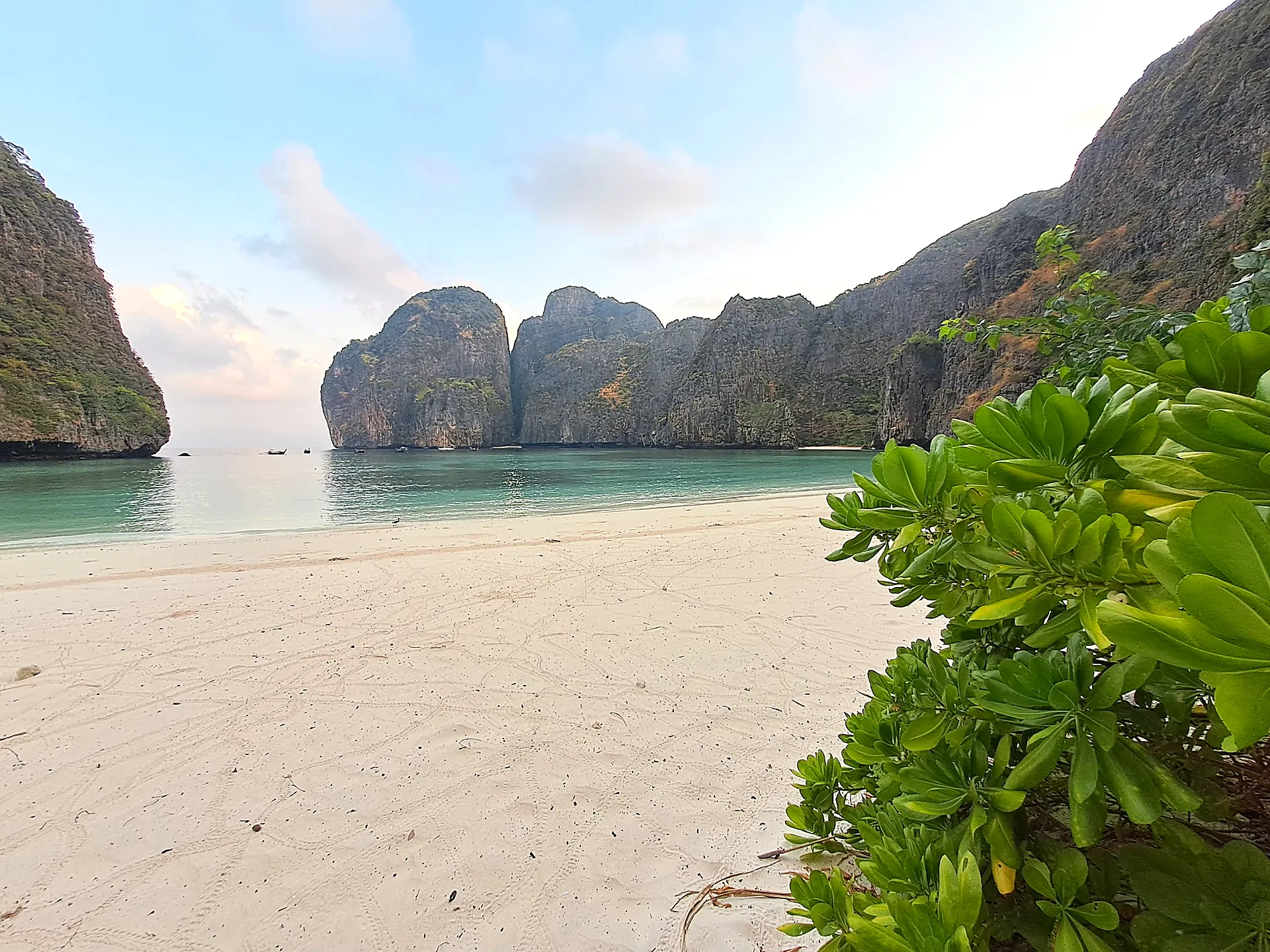 Maya Bay on Phi Phi Leh with limestone cliffs