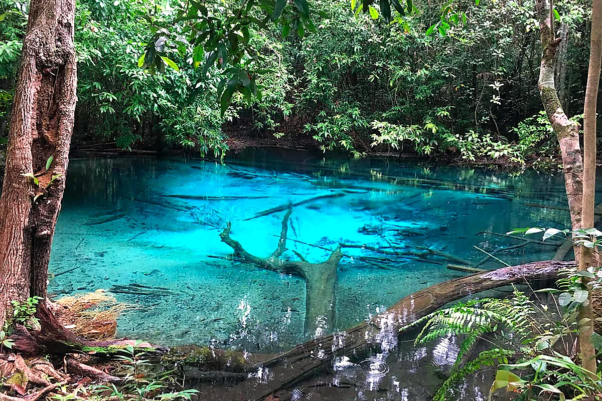 Emerald pool with crystal-clear blue water in the rainforest