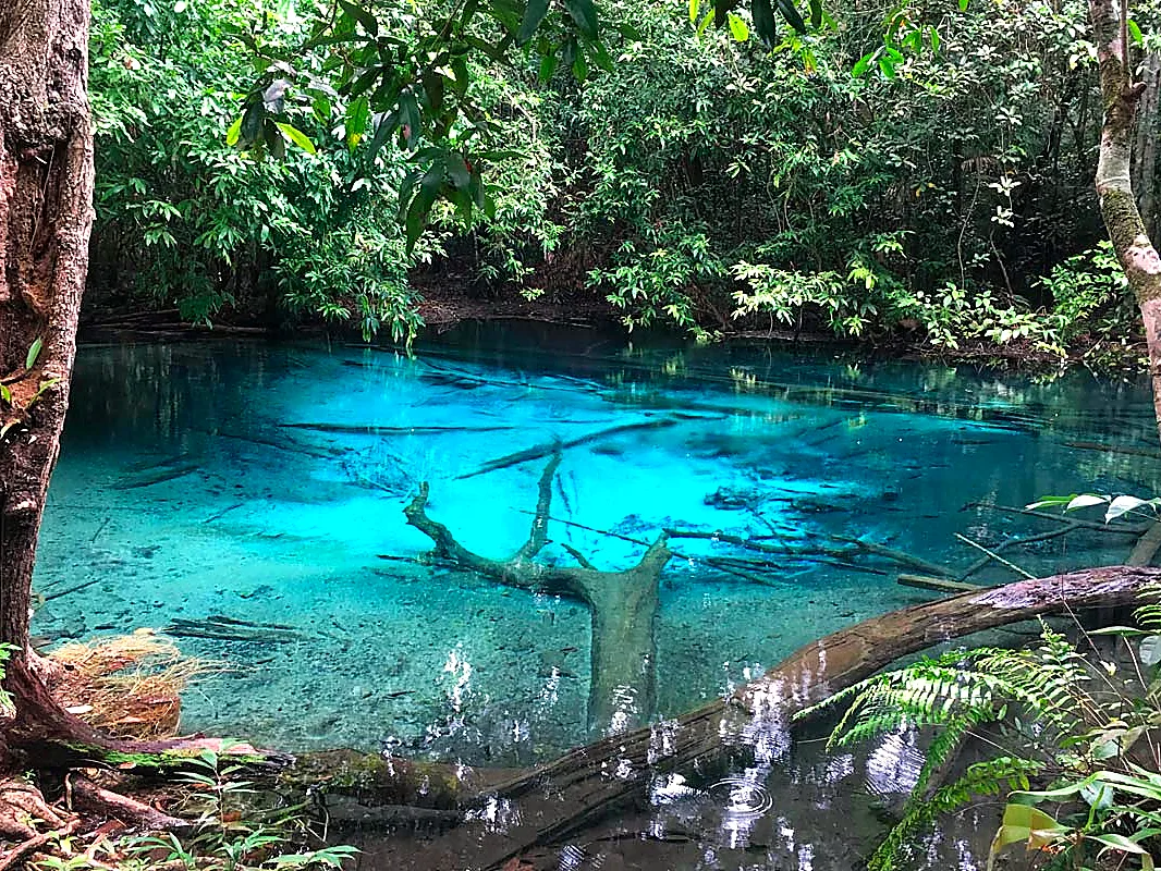 Emerald pool with crystal-clear blue water in the rainforest