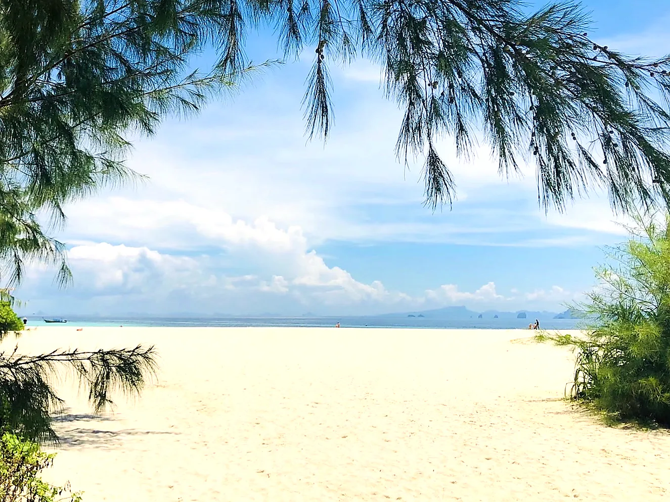 White sand beach on Bamboo Island framed by casuarina trees